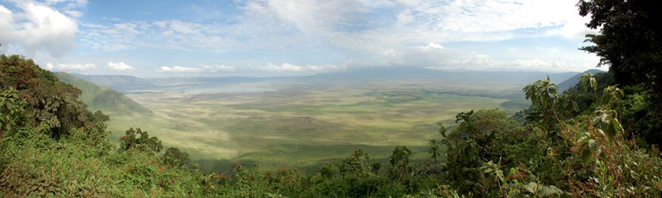 Ngorongoro wildlife