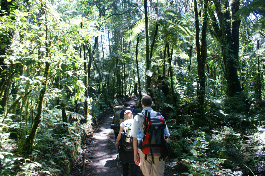 Wandelen op de Kilimanjaro